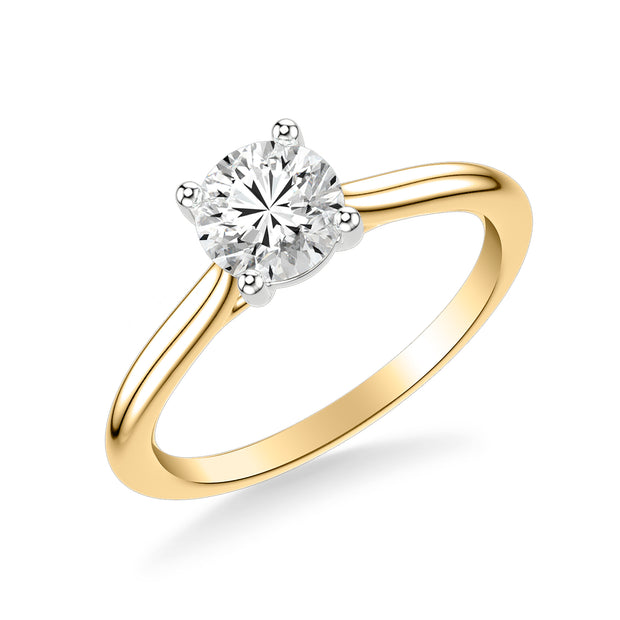 Classic Cathedral Setting Solitaire Engagement Ring with Polished Shank